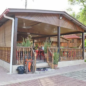 Borneo Tree House ** Kota Kinabalu